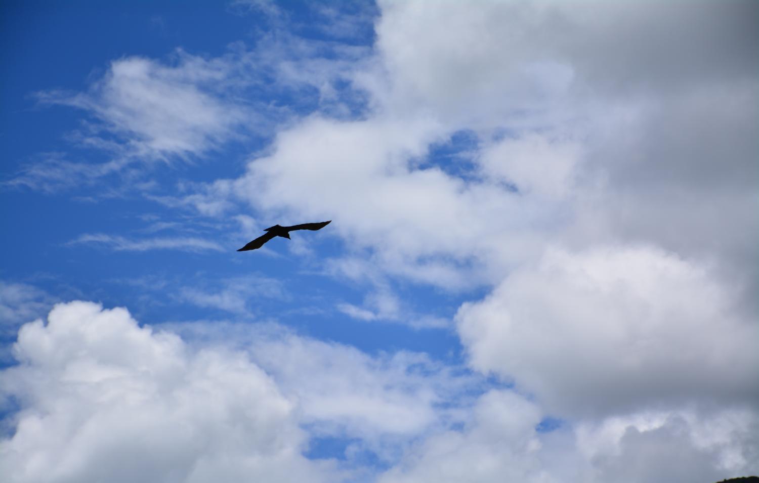 醫(yī)療器械行業(yè)，你必須要知道的小知識