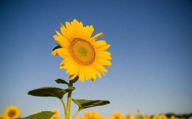 拿什么拯救你的頸椎？