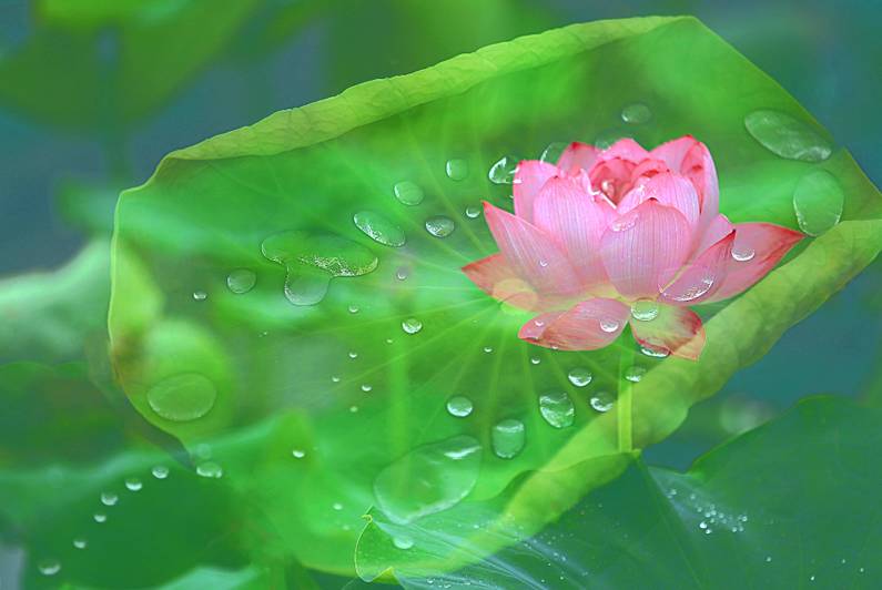 醫療器械網：失眠該怎么辦？